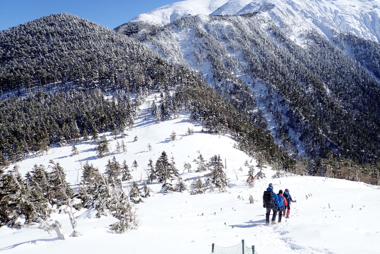 0833F01B-367A-478A-BAB6-F4D25C0F2403