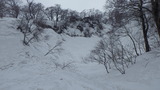 IMGP1123