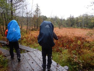 グラフィックス2rs