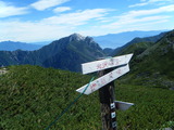 DSCF1741