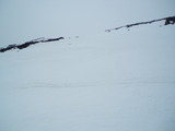 P5080009