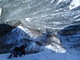 DSCF1529