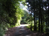 DSCF0706