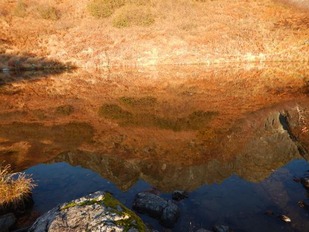 グラフィックス16