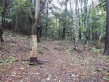 DSCN4960