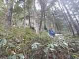 DSCN4093