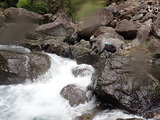 IMG_9181
