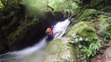 line_108588502797320