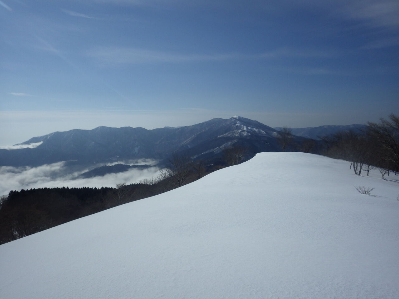 2A959F9C-23E7-429C-AAB2-16D858ABB5BA