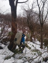 IMG_20200213_121658716_MP
