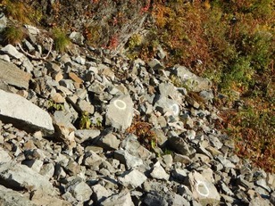 グラフィックス5