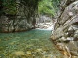 P9091307