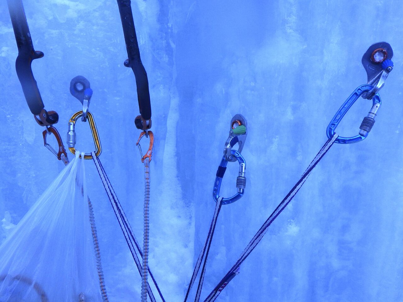 2B9C68E9-475D-4EAA-9AE5-5C6469014101