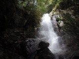 DSCN7166
