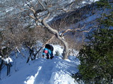 DSCF1523