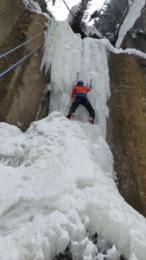 LINE_ALBUM_230304_3
