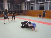 13052627