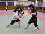 14040617