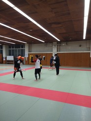 IMG_20211113_194206761