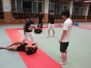 13080409