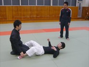 14030804