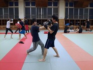 15053109