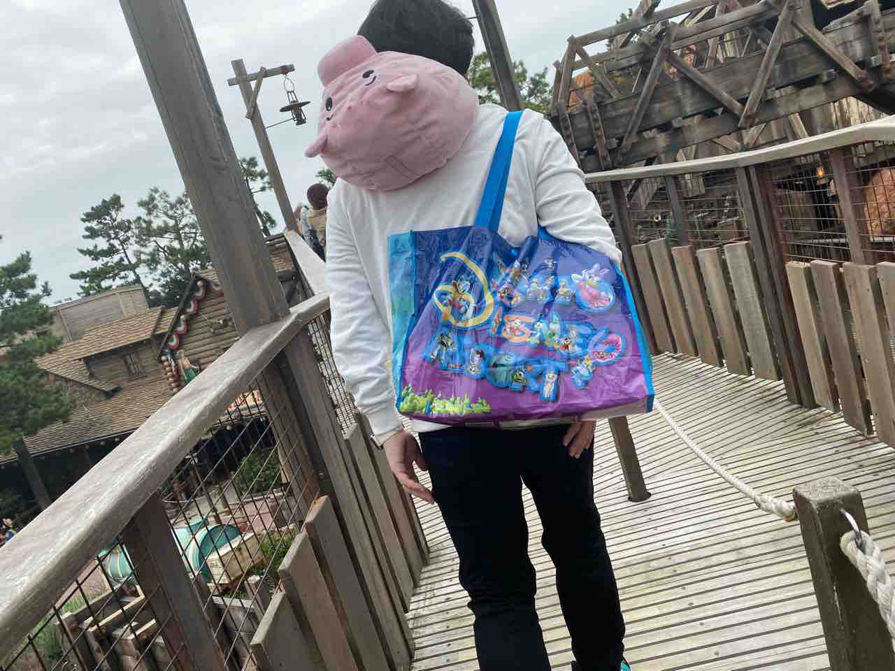 夢の国 ディズニー 会社立ち上げとその仲間達のブログ