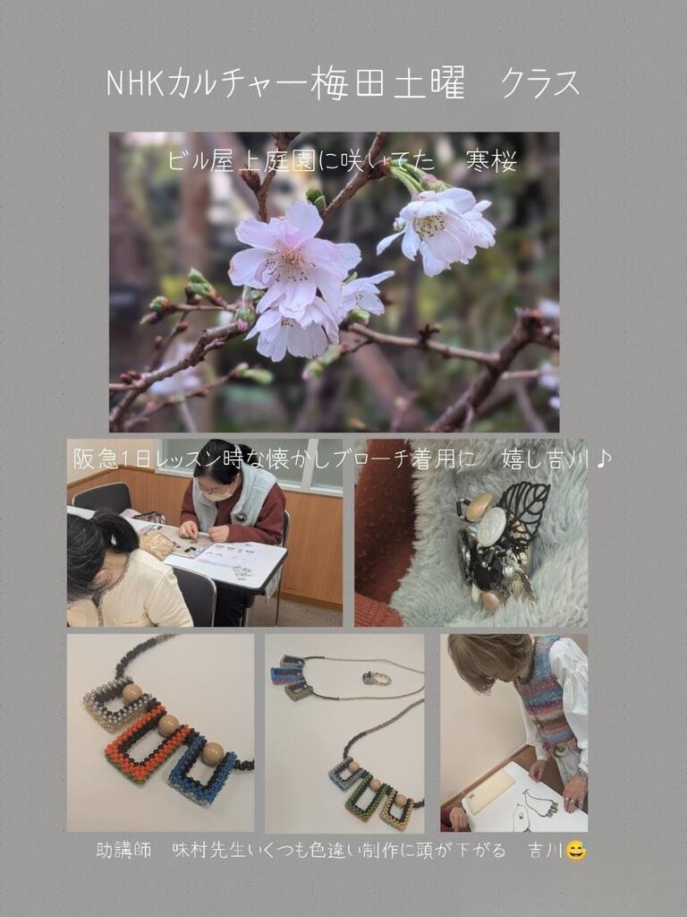 Collage_2025-12-14_11_34_50~2