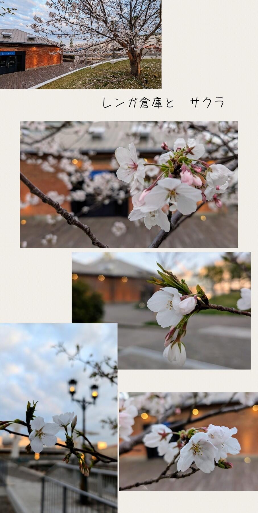 Collage_2025-04-05_12_05_56~2