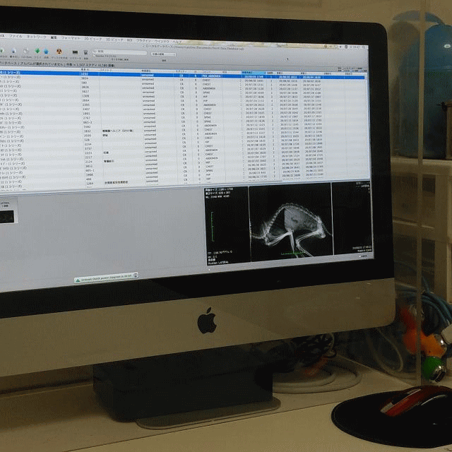 神戸にゃん太の会 神の谷さくら猫の会