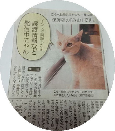 1月28日神戸新聞