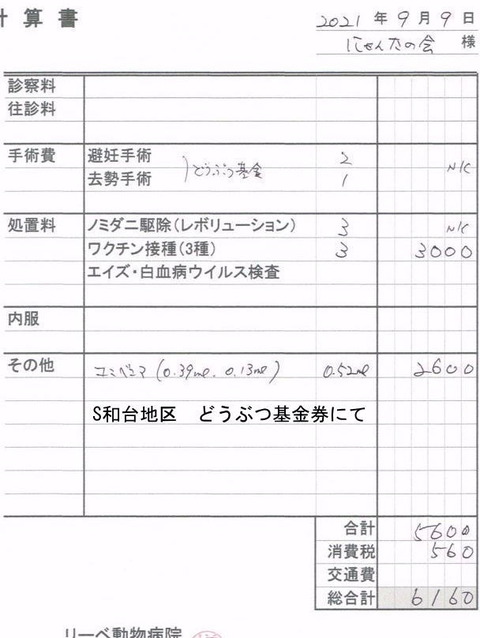 S和台地区どうぶつ基金券きり