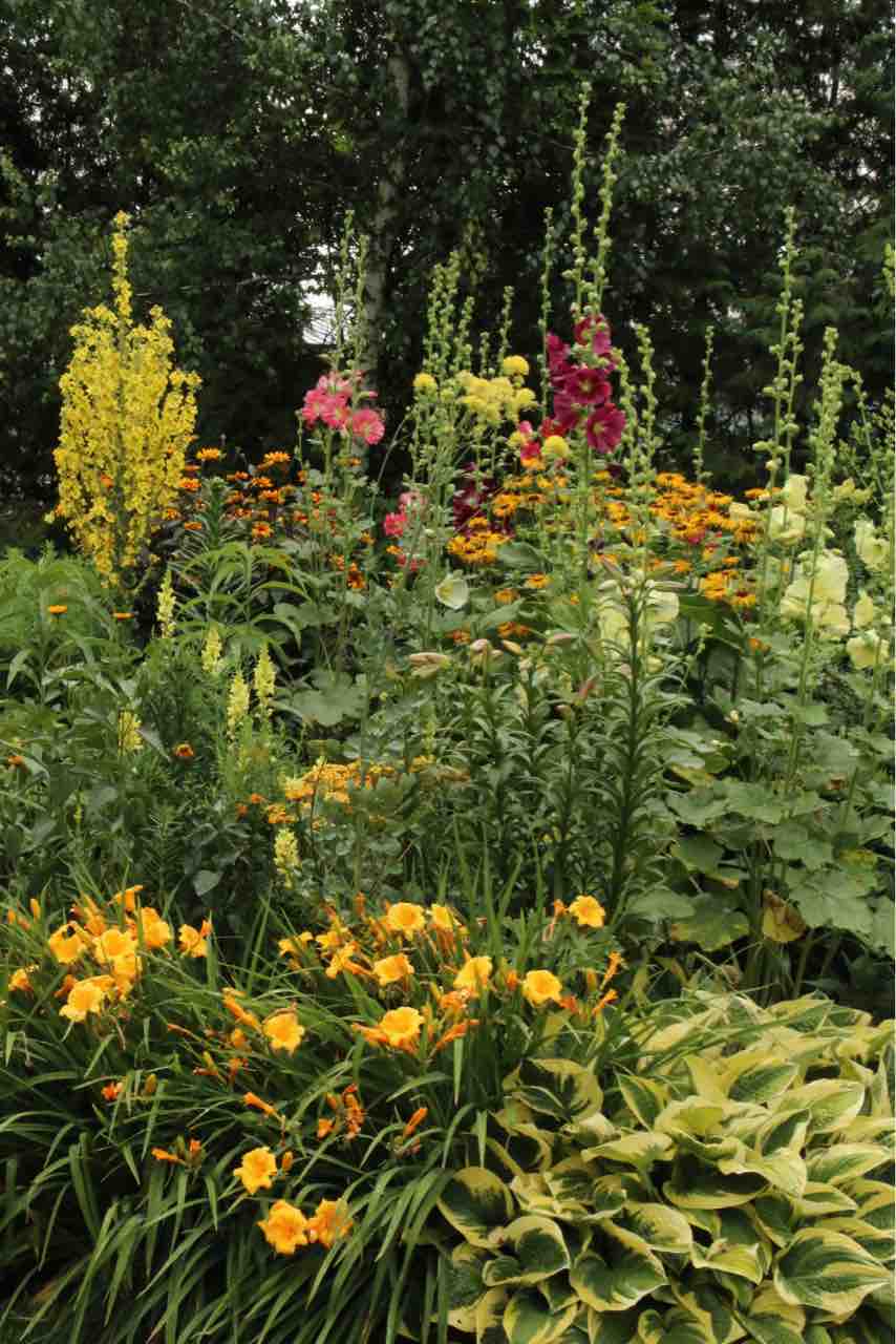 北海道ガーデン街道めぐり 2 神戸オープンガーデン