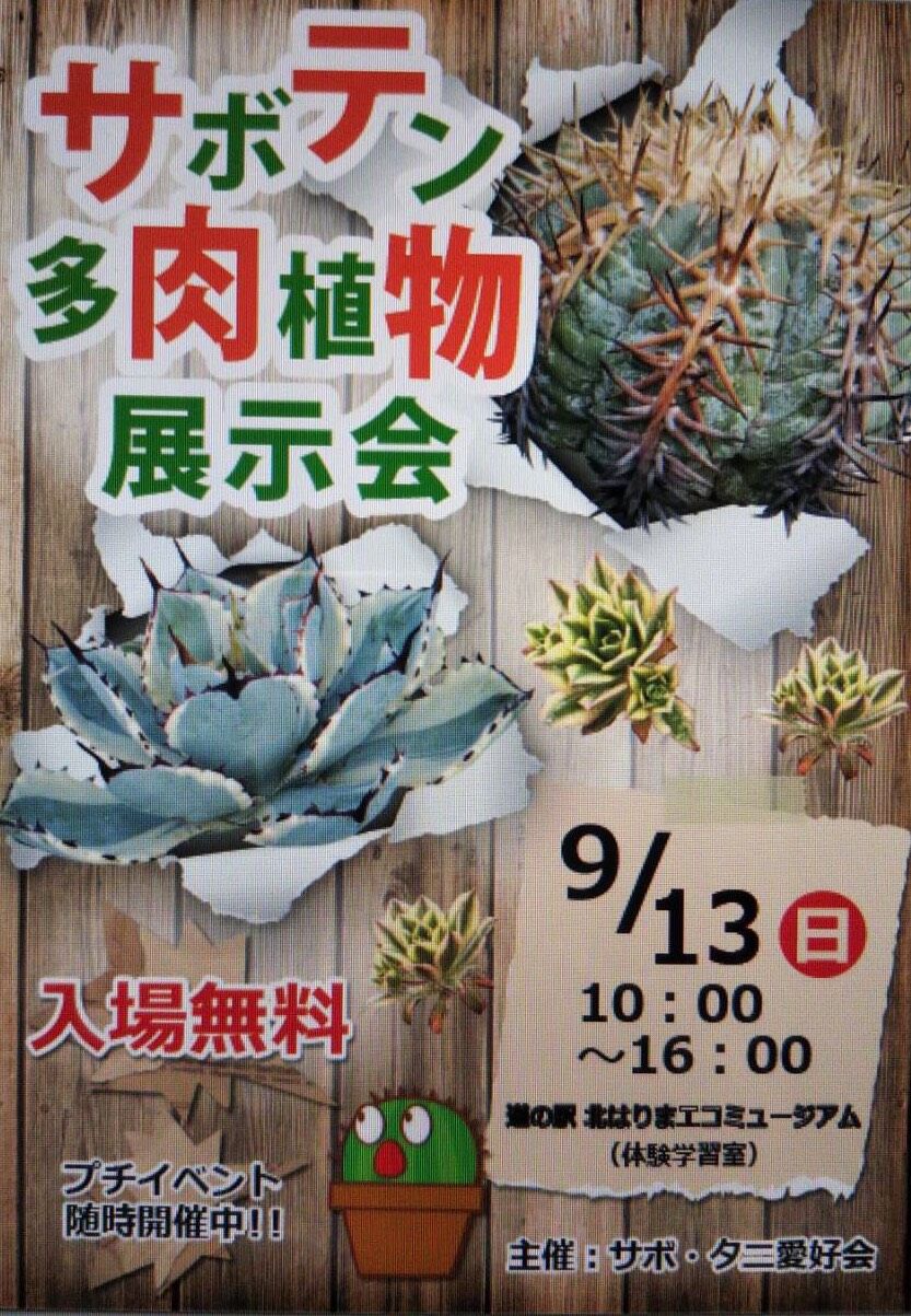 サボテン多肉植物展示会が開催されました 神戸オープンガーデン