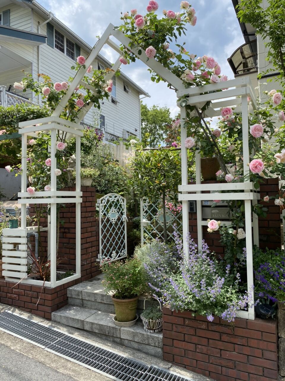 56 秋永さん ネットオープンガーデン 神戸オープンガーデン