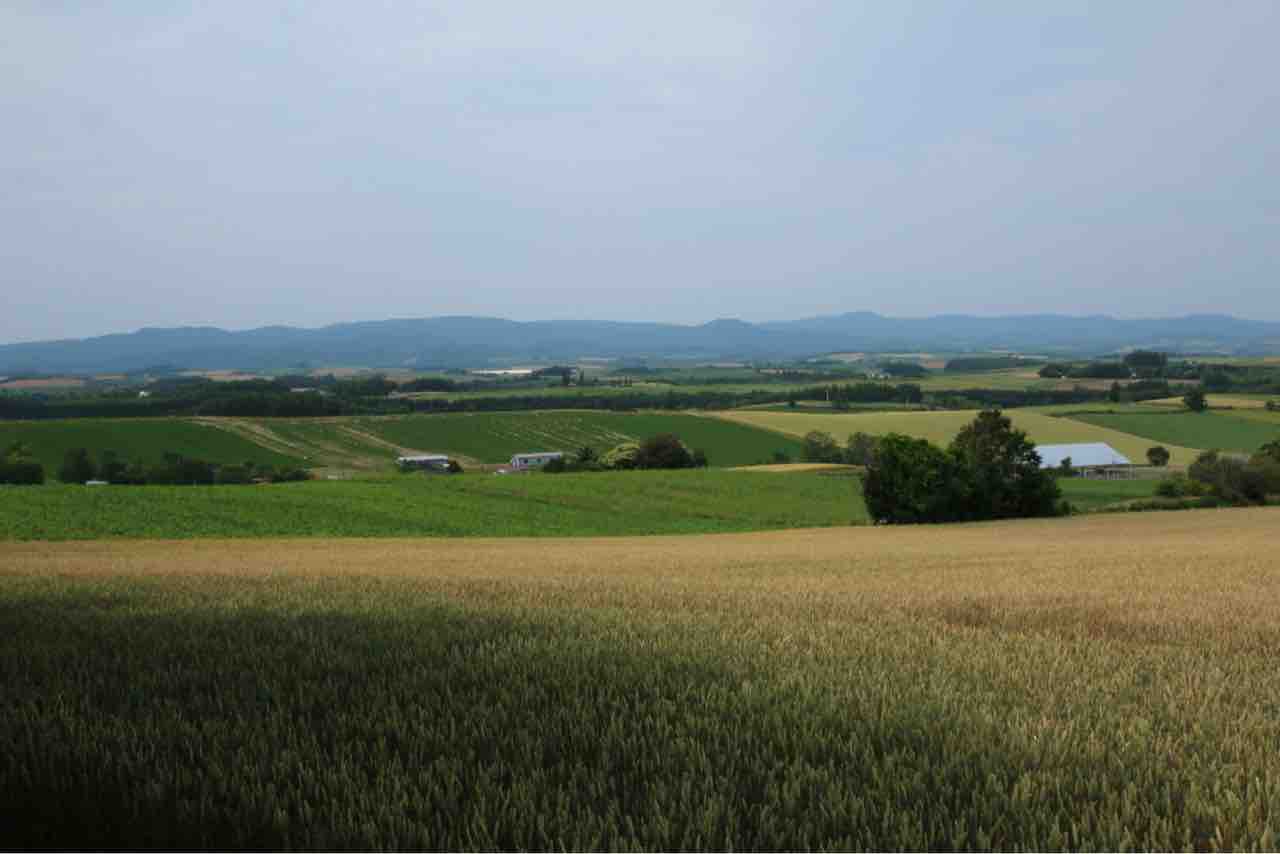 北海道ガーデン街道めぐり 2 神戸オープンガーデン