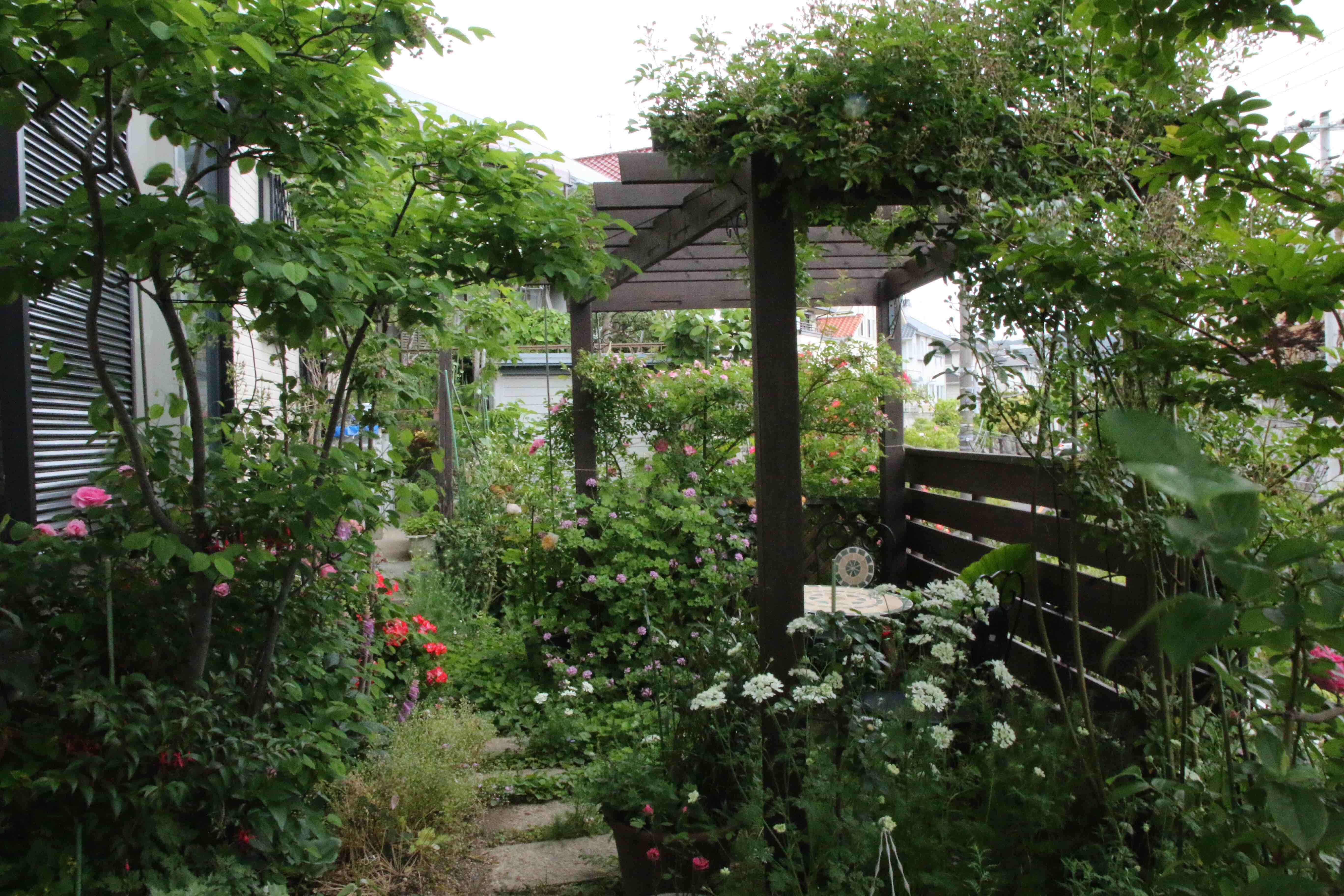 18 山本さん ネットオープンガーデン 神戸オープンガーデン