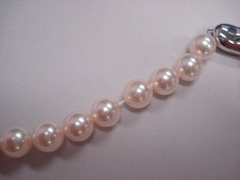 DSC05897