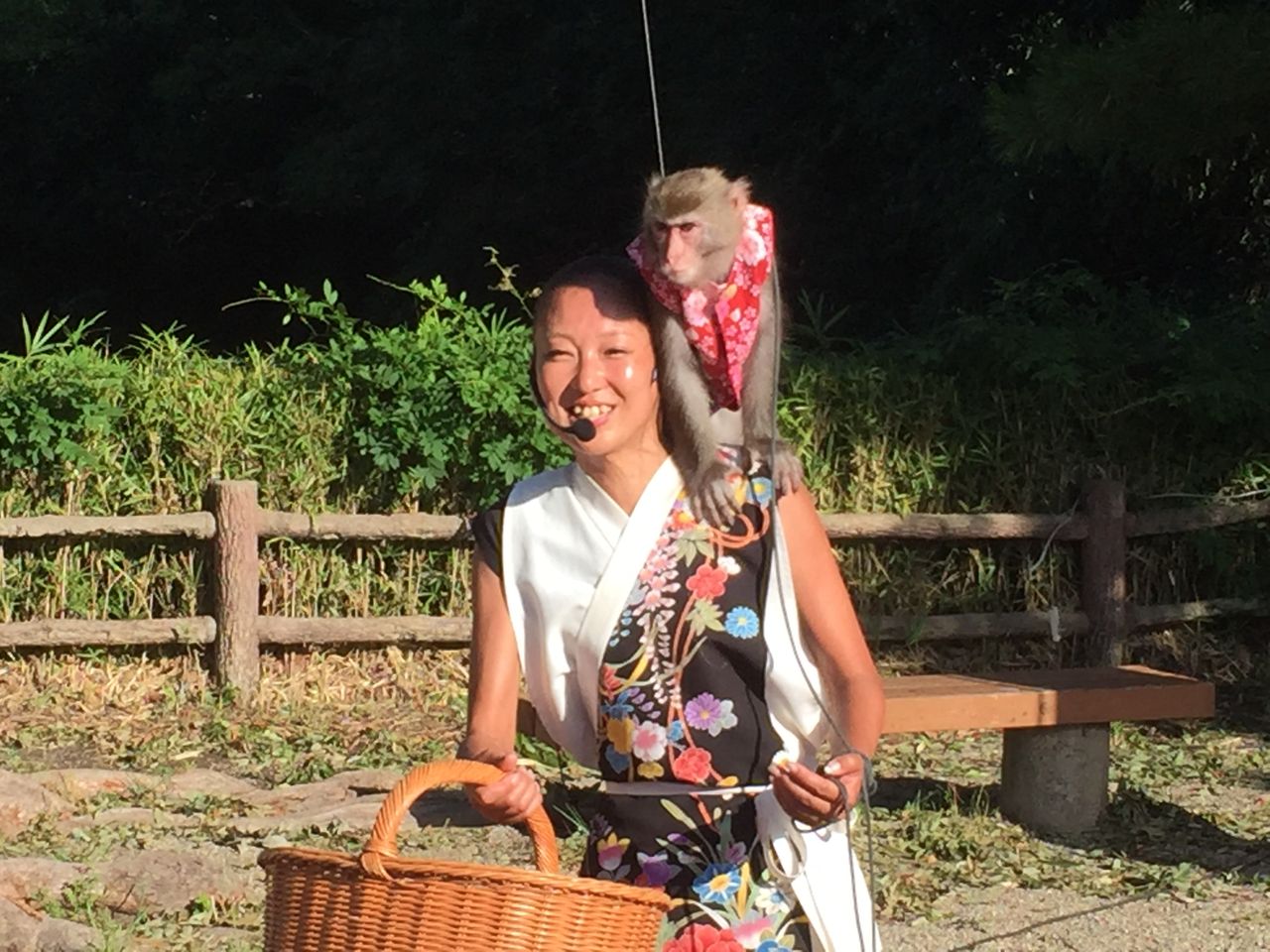 明石公園 第7回納涼フェスティバル 18 街角イベントを楽しもう By とみやん