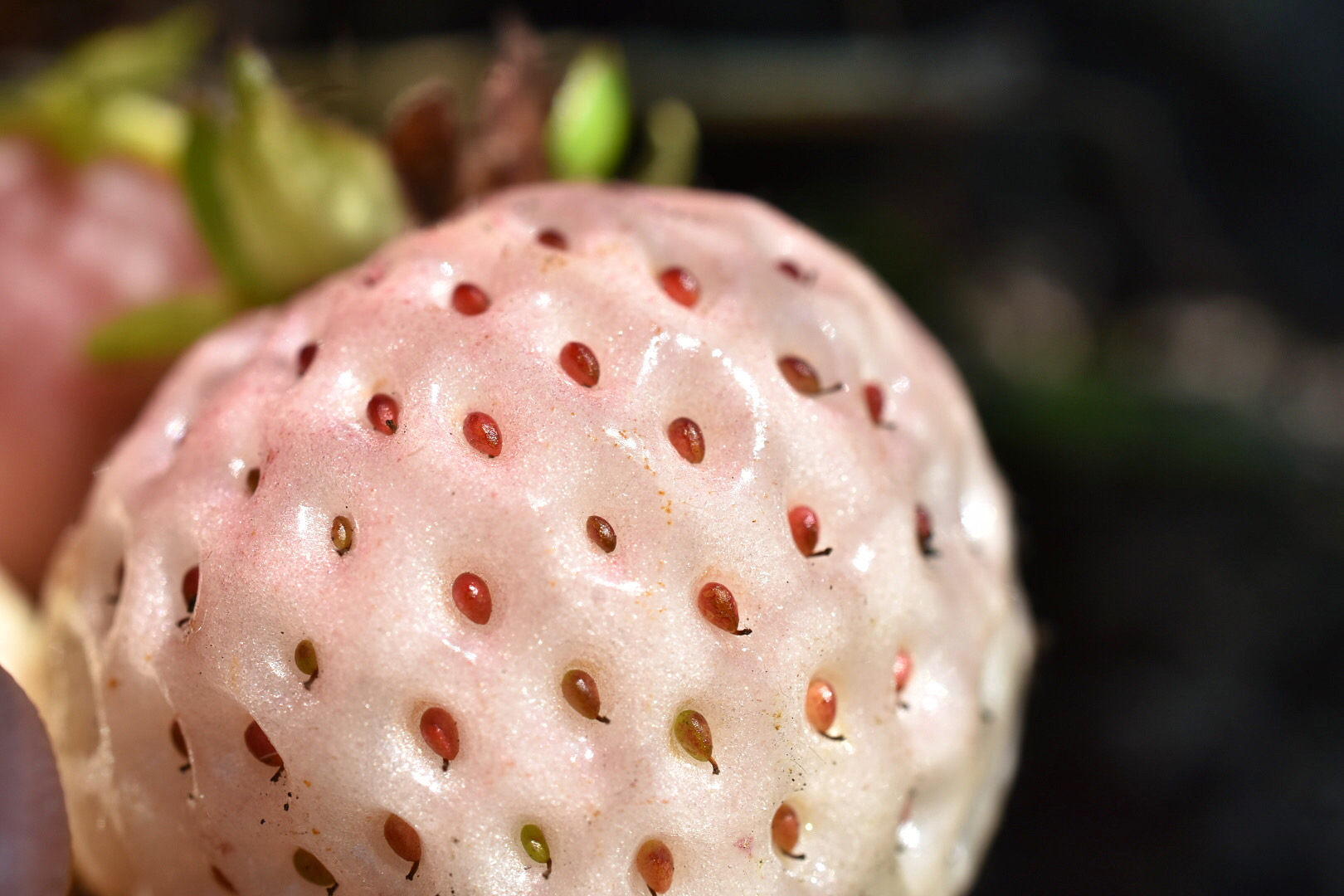 A906E3C7-EBDA-4146-B2F3-7CBF9273726C