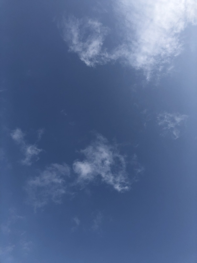98F81DB5-02A6-4B4F-B7D6-2346EA5C45CD