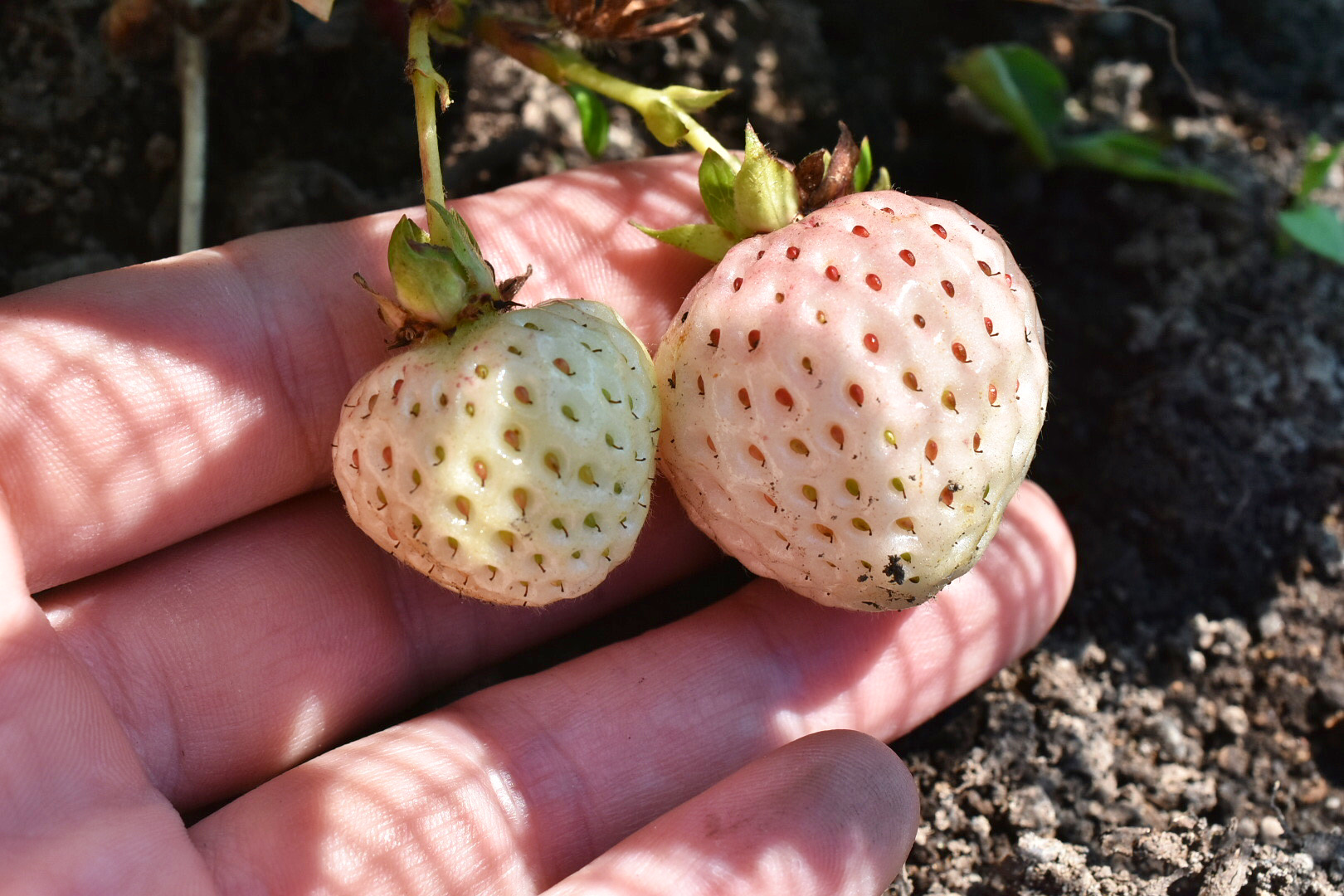 5664F4F1-60D6-42D2-A79E-1DF713AF5580