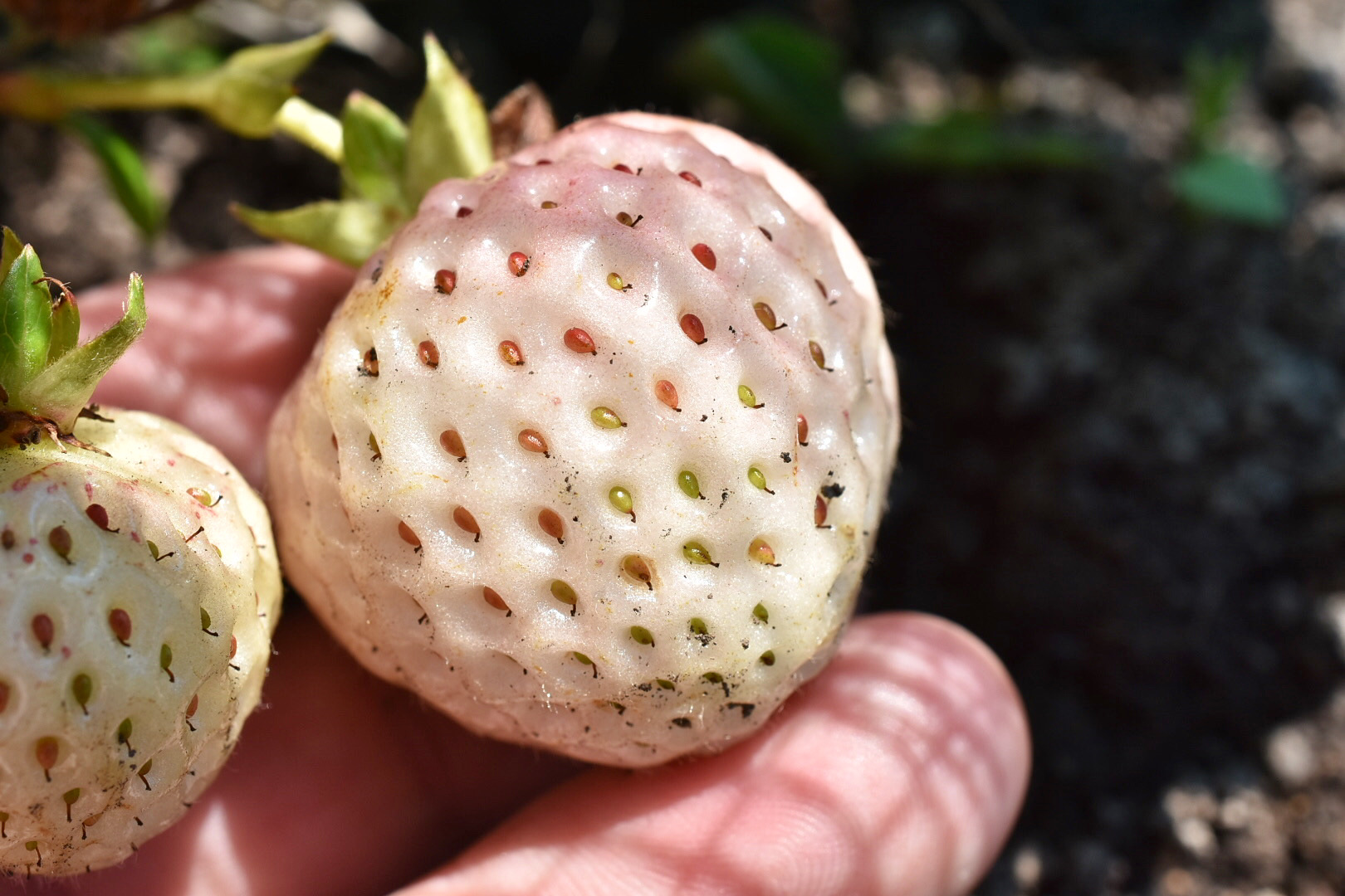 7FB8236C-169D-40FB-B44F-886FD3BAC585