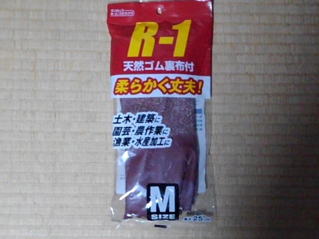 59463872_1014743618714424_822159622101008384_n