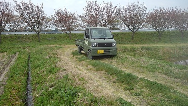 57882570_1009532802568839_7452135070241914880_n