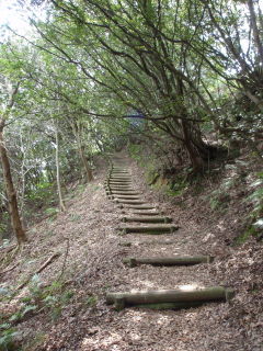 お山の階段
