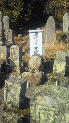 蓮如上人の生母-1