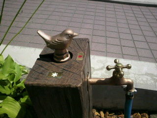 2010081311370000 (3)