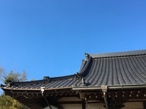 IMG-0759