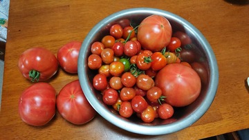 DSCPDC_0002_BURST20190806185426893